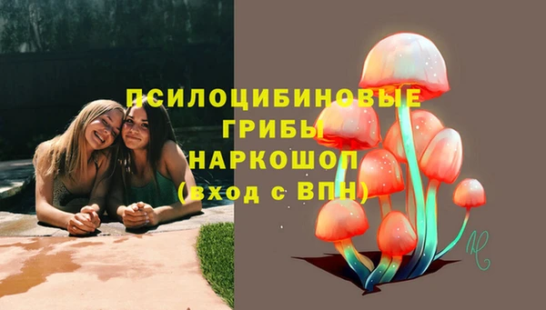 apvp Абинск