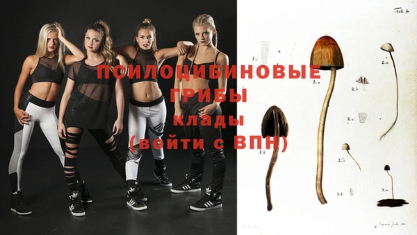 хмурый Абаза