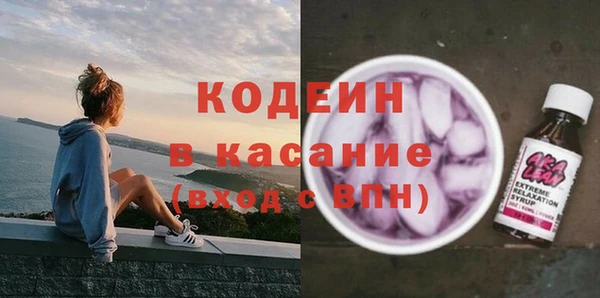 хмурый Абаза
