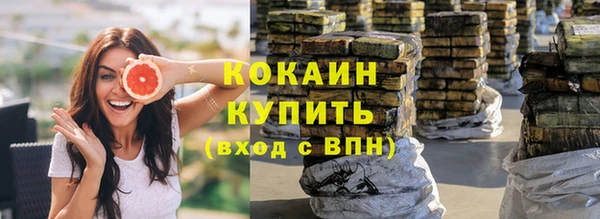 хмурый Абаза