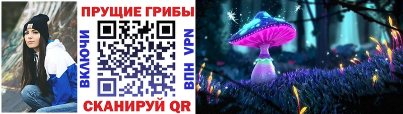 Галлюциногенные грибы мицелий  Безенчук 